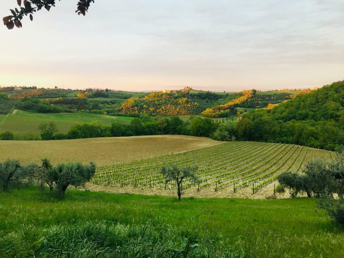Agriturismo La Valle A Polvereto Tavarnelle Val di Pesa Exterior foto
